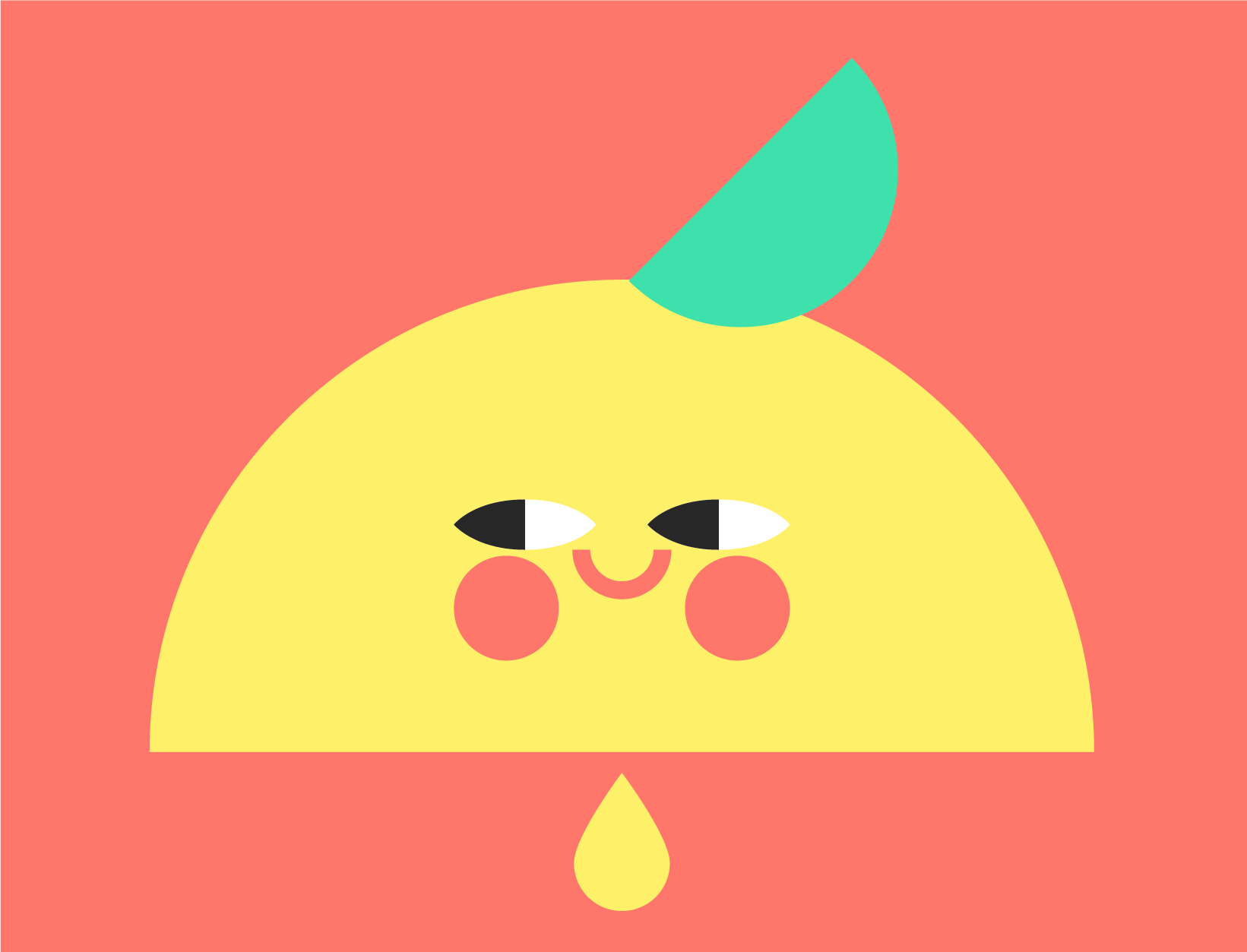 dribbble_shel_05